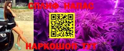 крисы Ливны