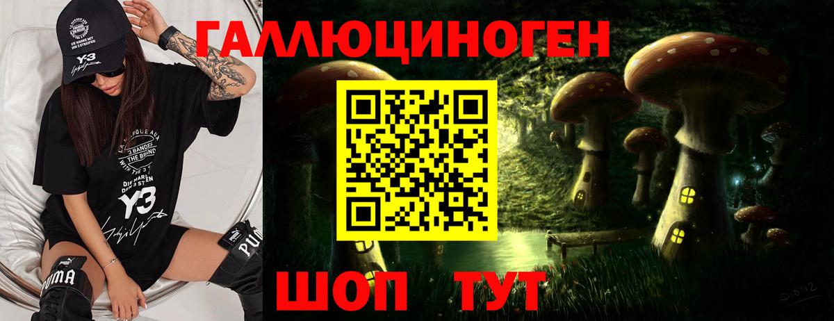 Галлюциногенные грибы прущие грибы  Вход с VPN  Карачаевск 